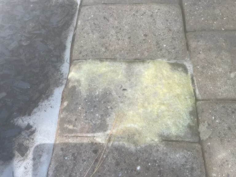 up close of yellow stains on patio in wake forest nc