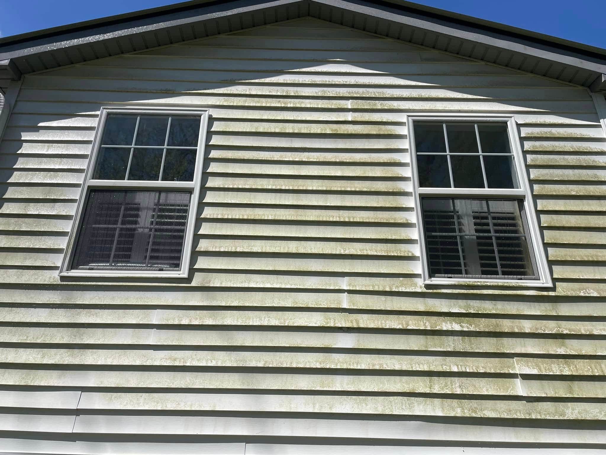 pollen and algae covered white vinyl siding in Hasentree Neighborhood Wake Forest NC 