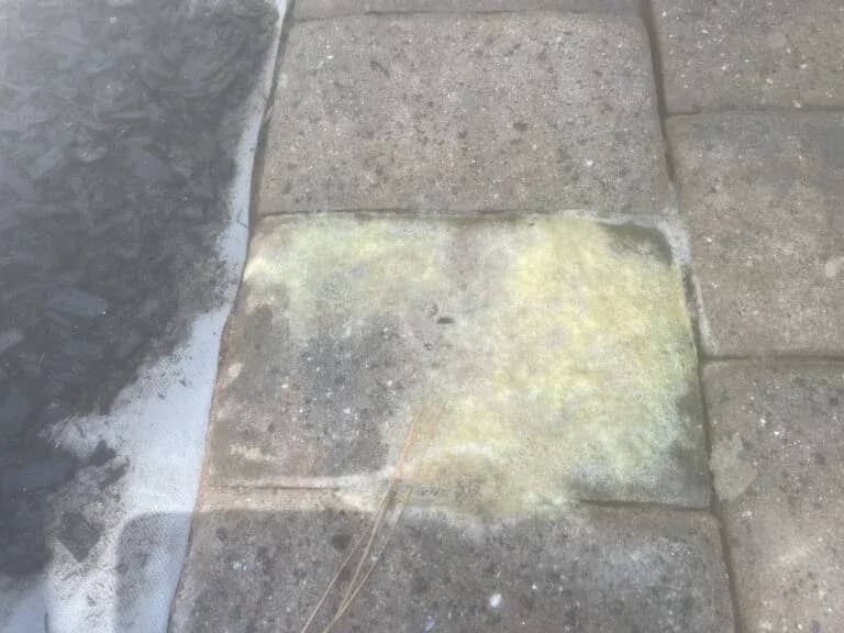 up close of yellow stains on patio in wake forest nc