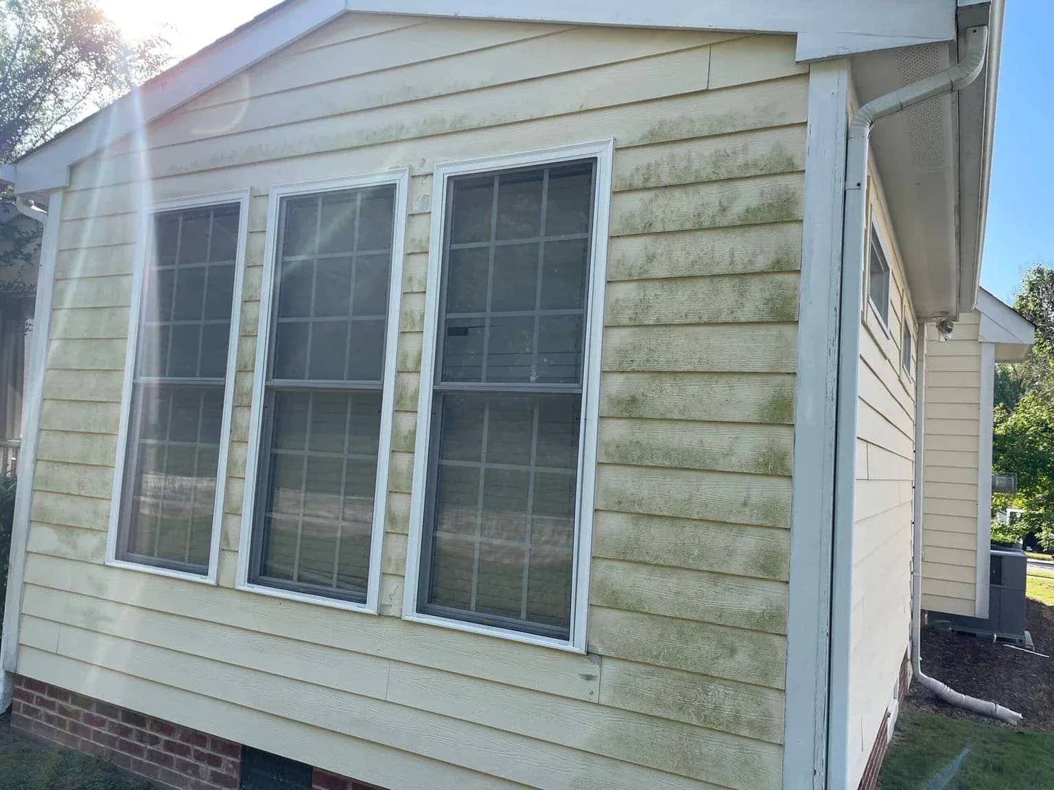 a Wake Forest, NC home with algae on the vinyl siding