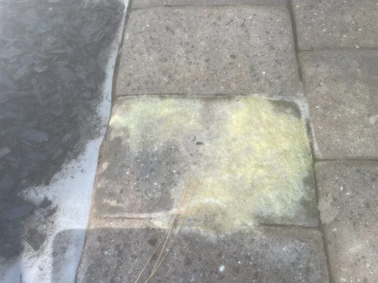 Patio Stains Removed