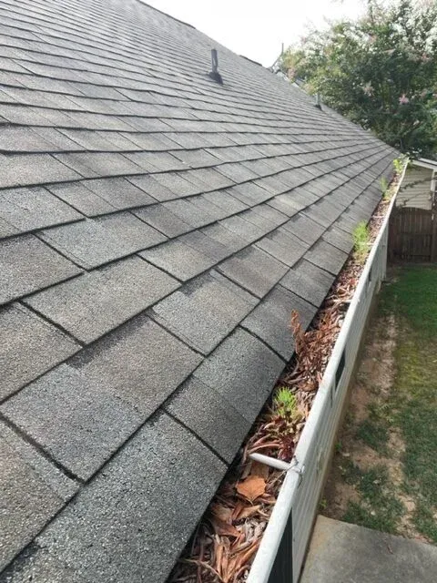 leaves and growths in gutters in Wake Forest NC