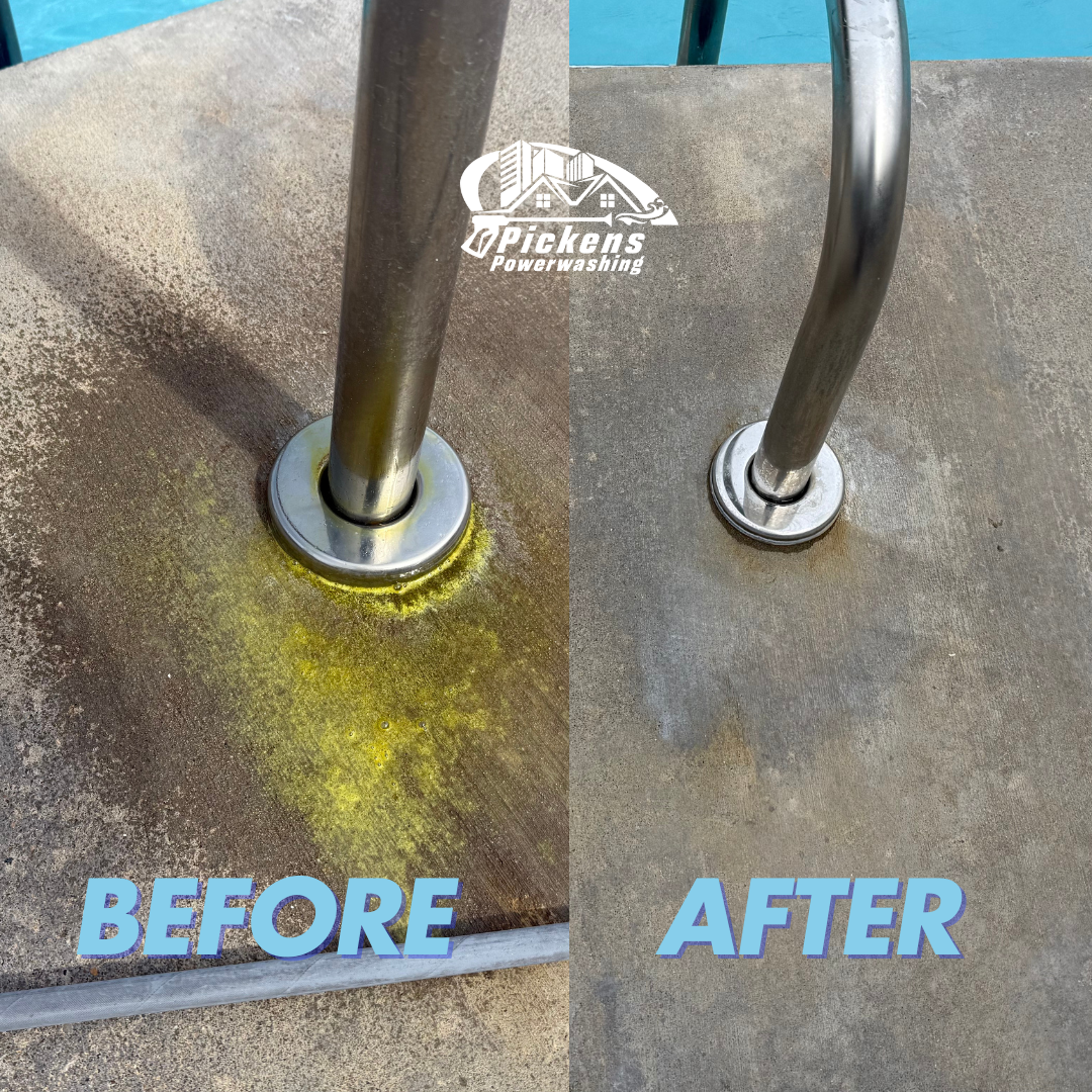 close detail of green algae by pool YMCA of the Triangle