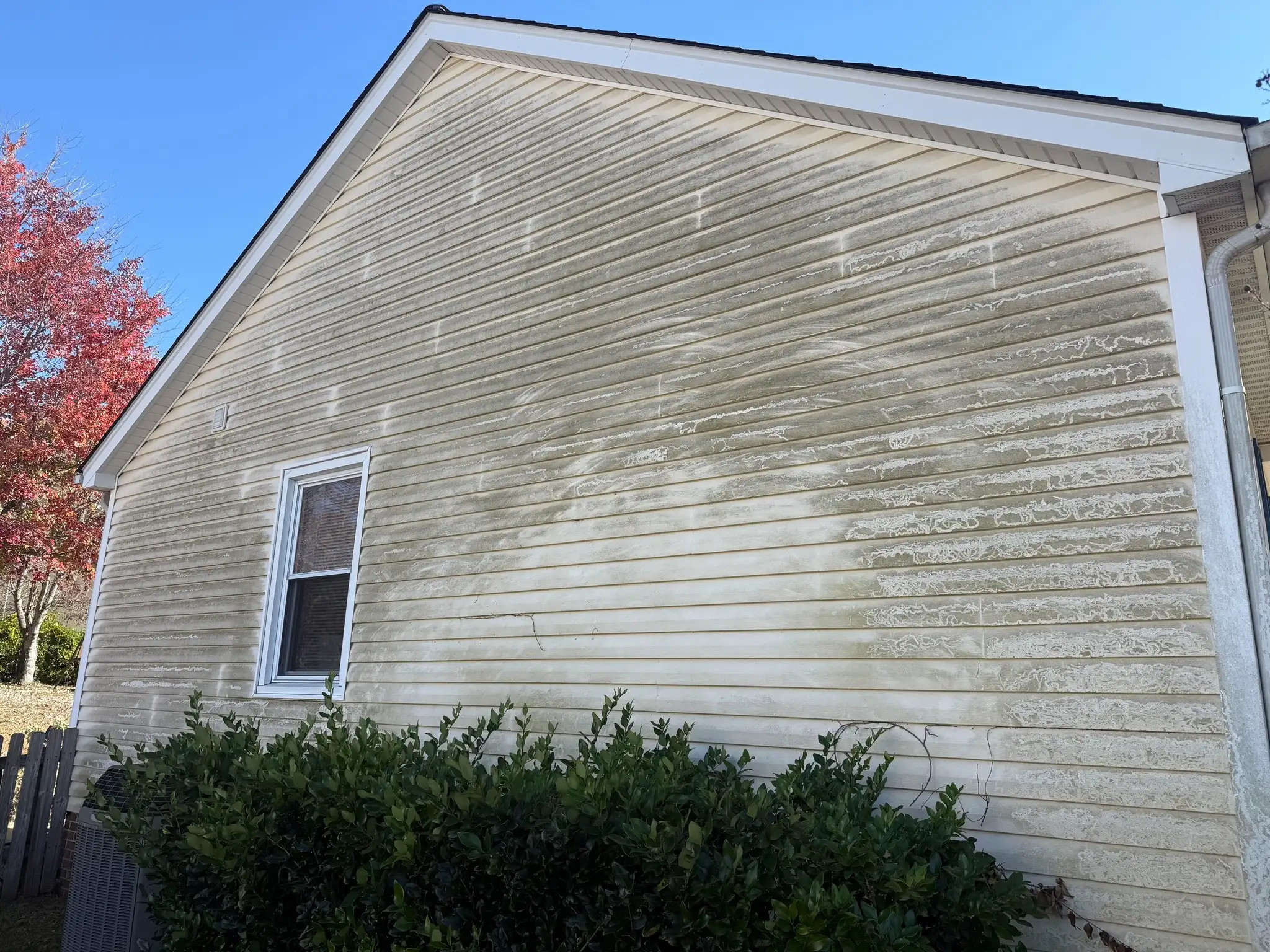 Before transformation